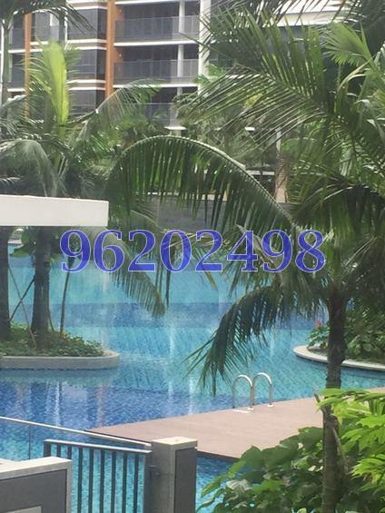 Coco Palms (D18), Condominium #167393972